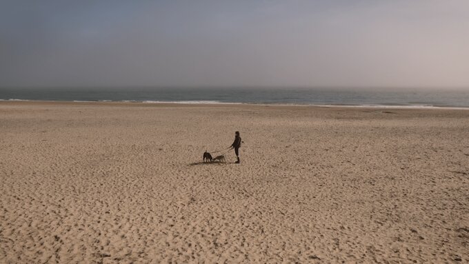 A woman and a dog are standing on a beach.