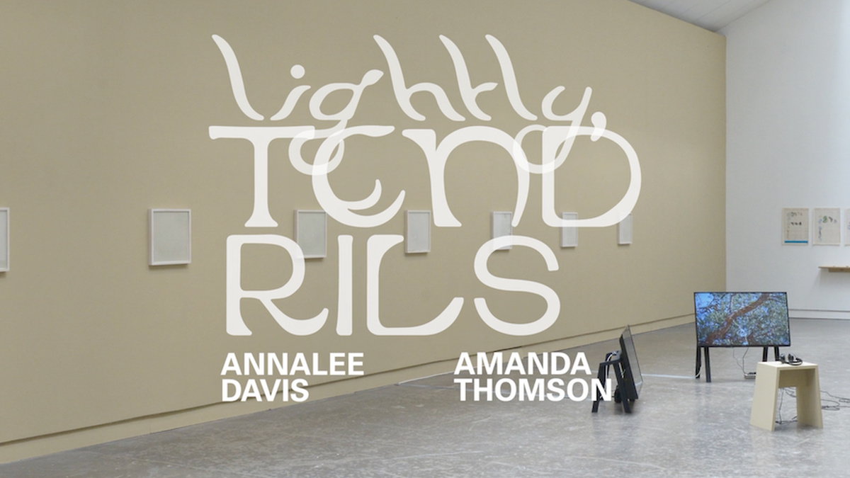 A screenshot from a video: a gallery space is shown with the title 'lightly, tendrils' overlayed.