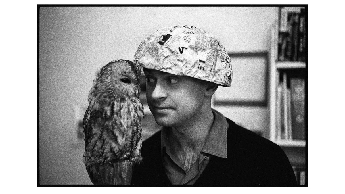 A perched tawny owl is eye to eye with a man wearing a papermache hat. He is wearing a dark jumper and a paler shirt.