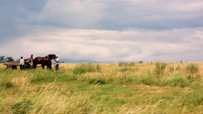 Roma people working on a field.