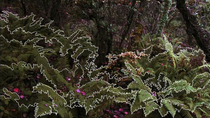 An image of green hedges, an illustrative white outline has been traced over the edges of the plants.