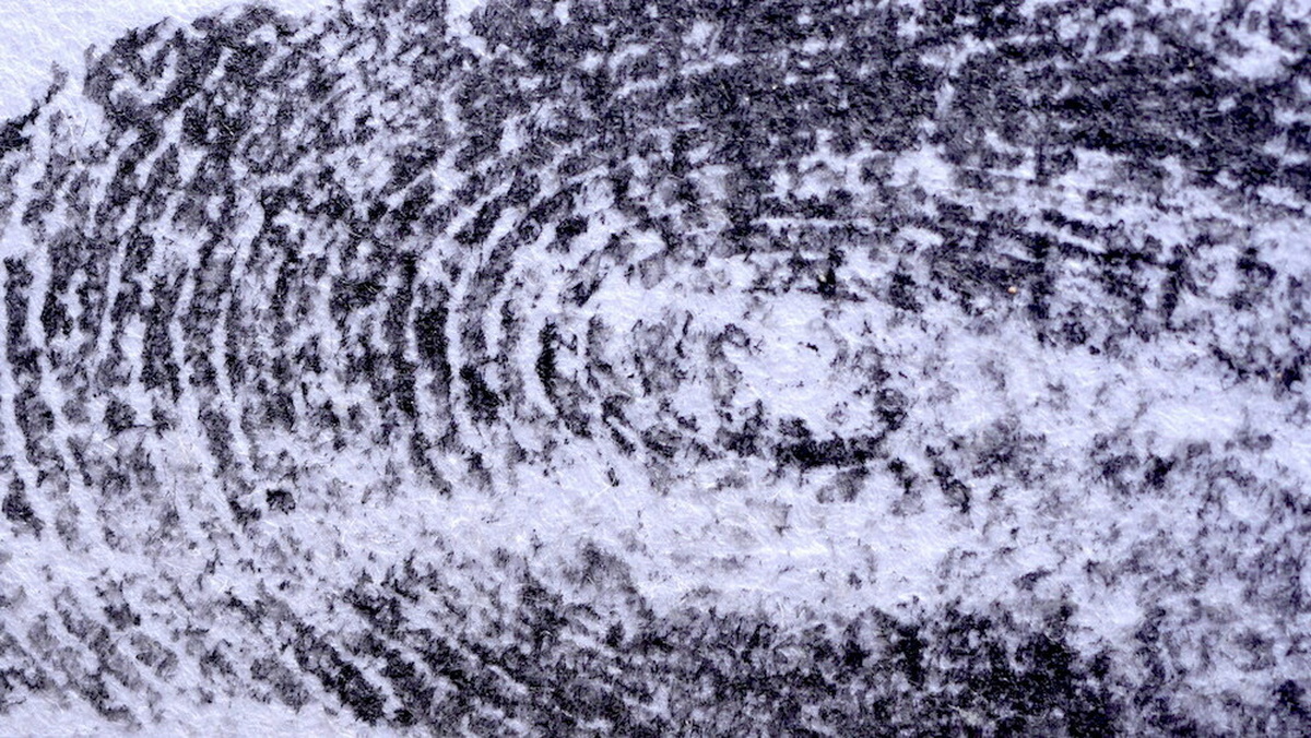 A close up image of a black ink finger print on white paper.
