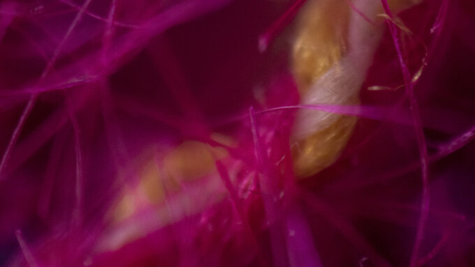 A close up image of hot pink fabric.