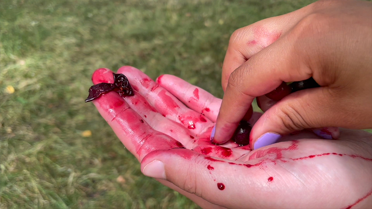 Close up of two hands crushing berries, with bright red juice covering them.