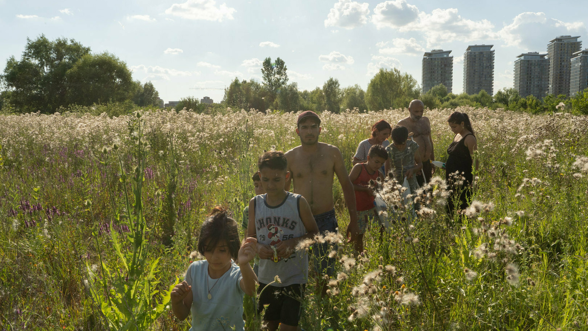 A family of nine, walking through the grass in a green field, with high-rises in the background.