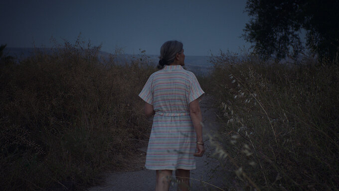 A still from 'Foragers'. A woman, with her back turned to the camera, walking through a field at night.