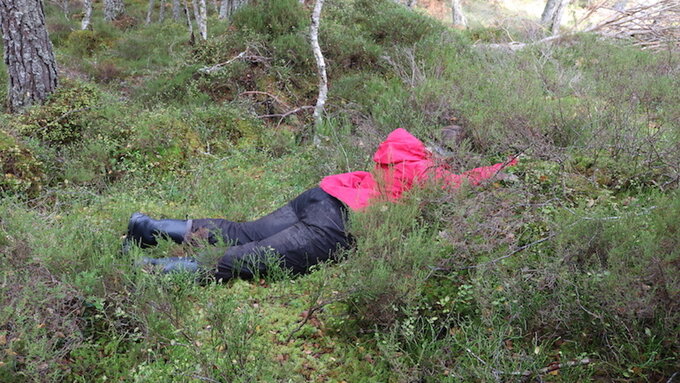 A person in red and black waterproofs lays in a sea of bushes, trees, & moss. As though swallowed by the shrubbery.