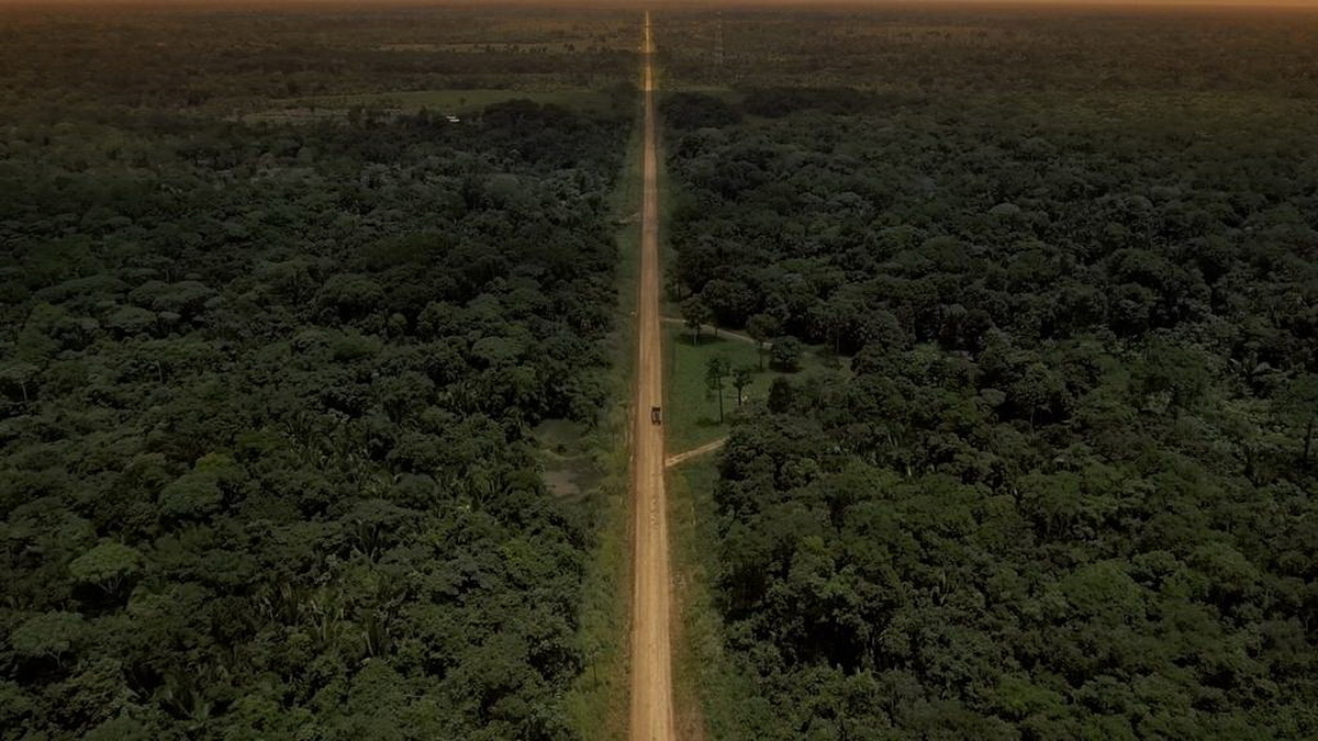 Bird's eye view: a single car is pictured riving along a straight road piercing Amazonian forest.