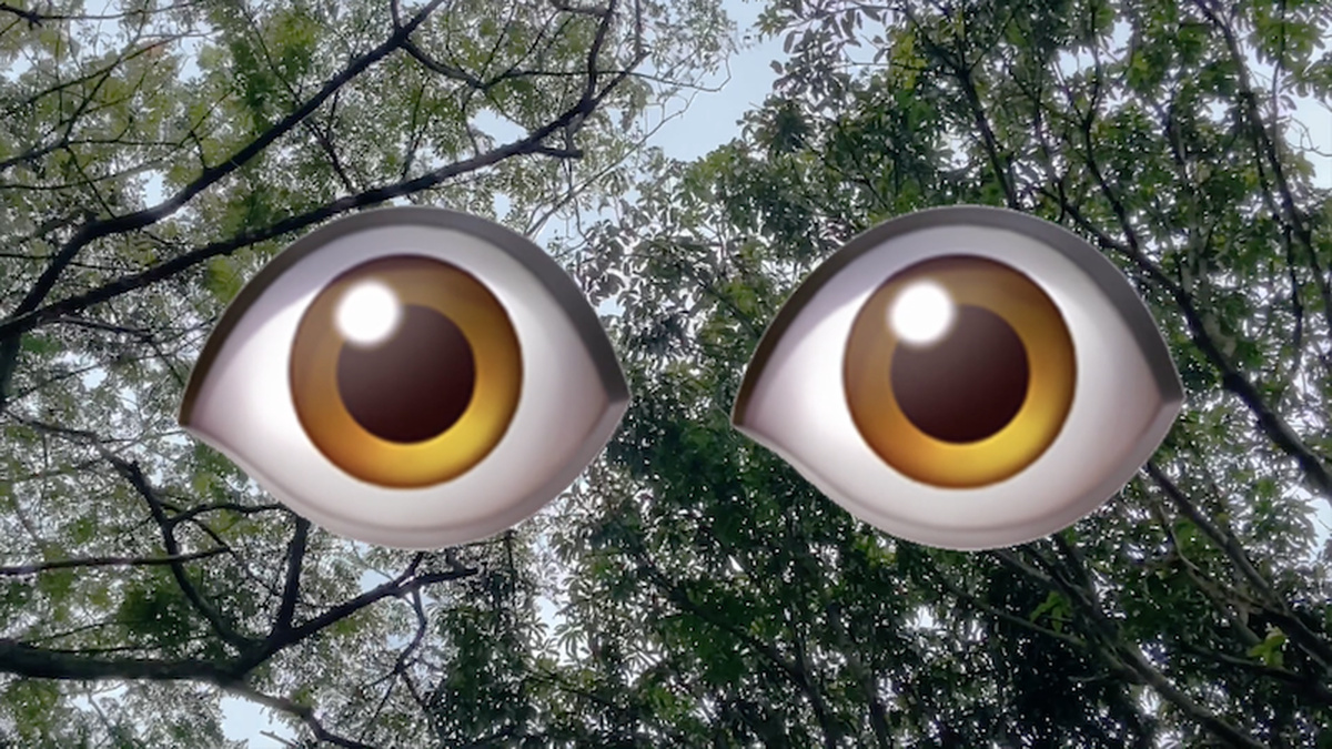 Two eye emojis are overlayed on an image of trees against a blue sky.