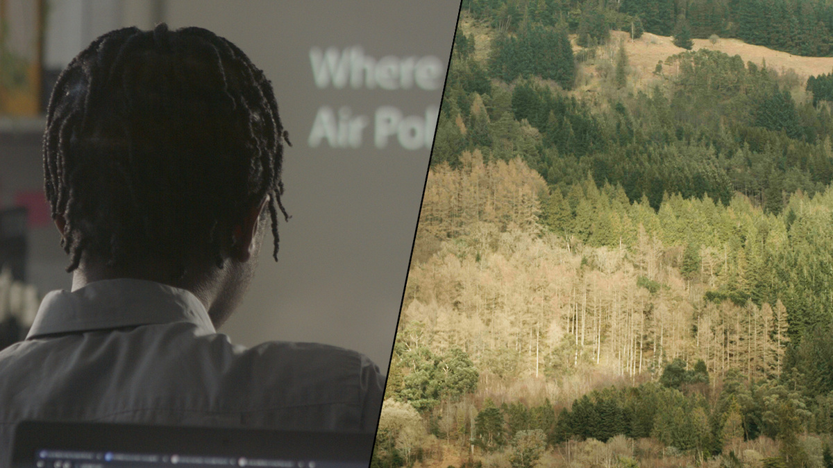 Two film stills. The first shows the back of a seated young person’s head, they are looking at projected words.