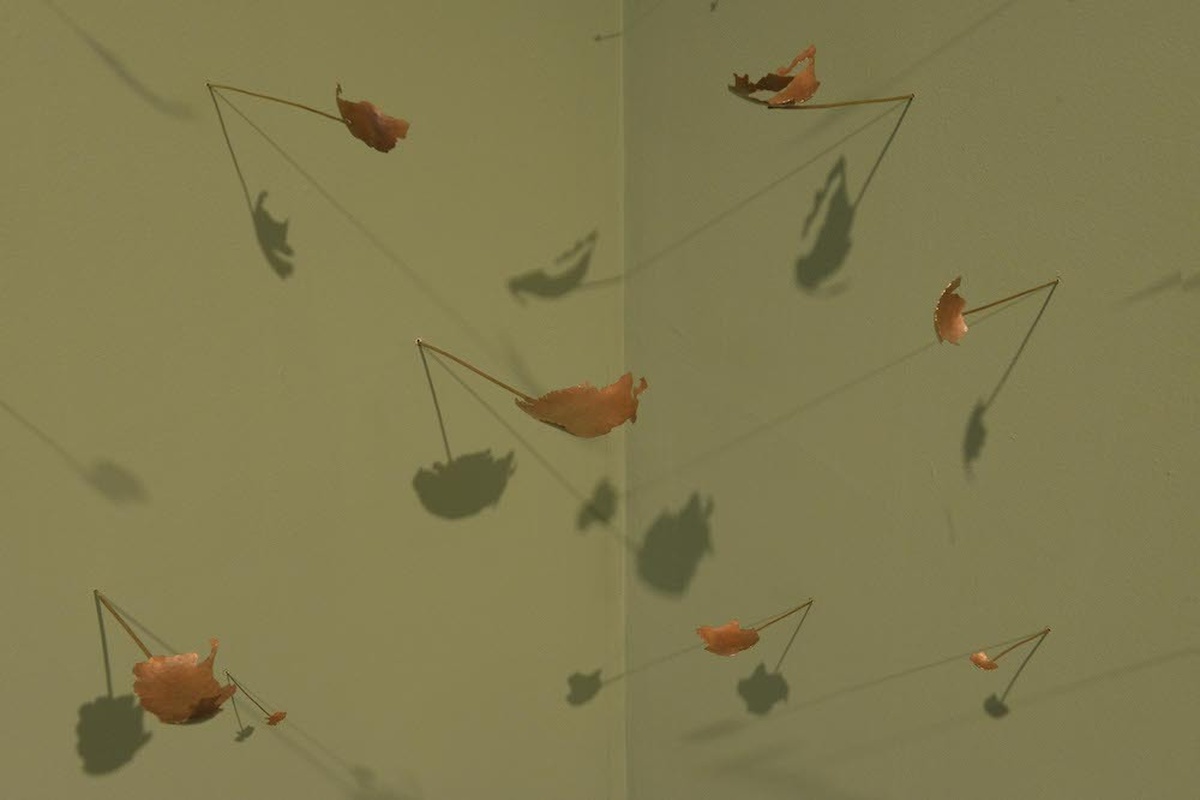 A close up of the CCA1 wall installation. Small copper sculptural pieces reminiscent of egg shells on metal rods