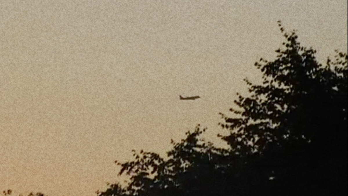 A polaroid photo of plane flying above some trees, visible in shilouette
