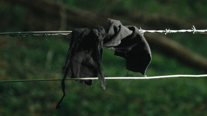Two grey rags caught on barbed wire in the countryside.