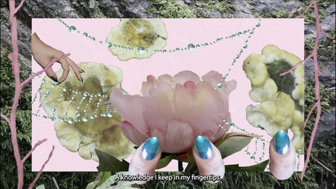 Collage of roses, pink tress and hands with pristine fingernails.