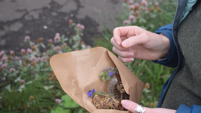 A person in an outdoor green space is clasping a brown paper envelope which contains a number of seeds and seedheads