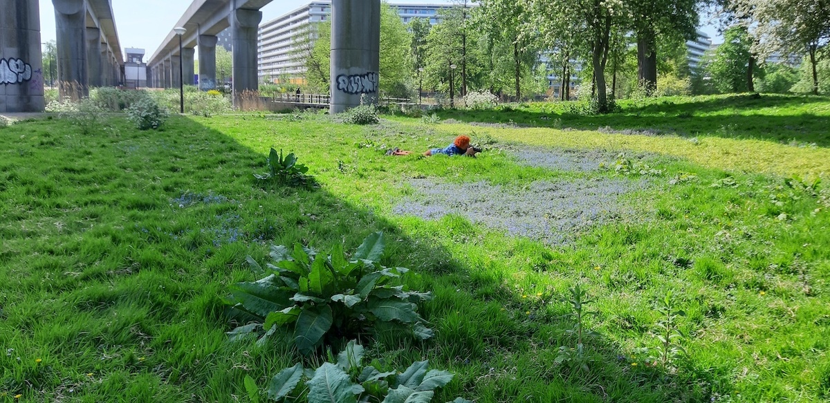 A person with a camera crouches in the lush grass and flowers beneath a motorway flyover.