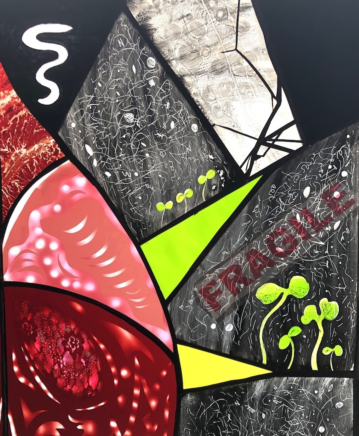A series of disjointed textured glass panels with various marks, images of seedlings, and the text "FRAGILE".