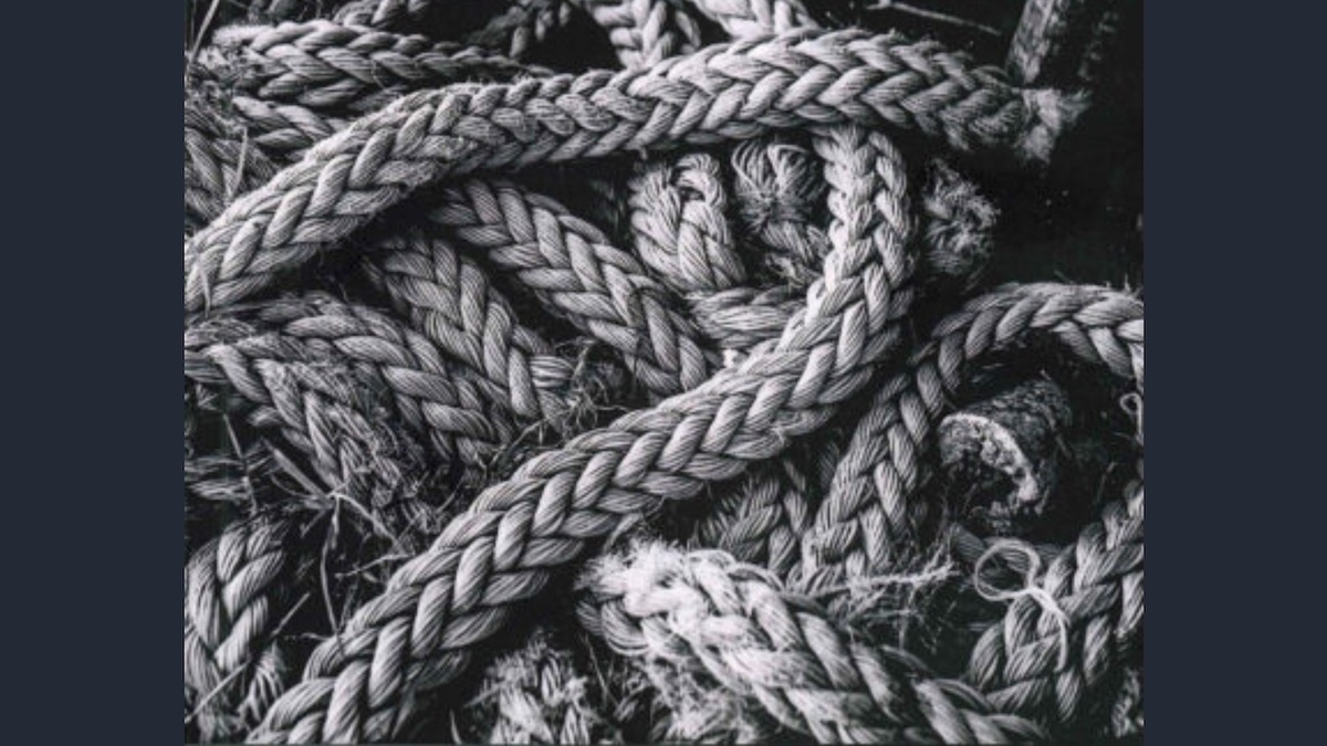 Black and white image of a bundle of knotted rope