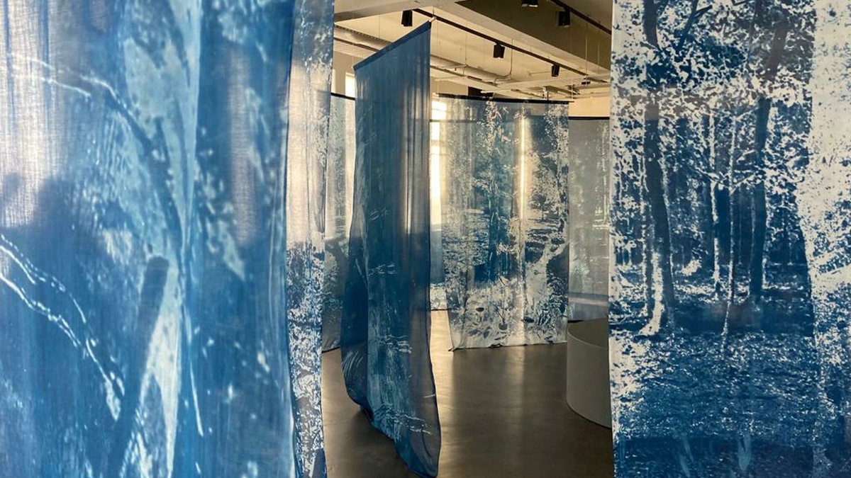 Installation view of an exhibition, various pieces of hanging fabric with trees and foliage printed in blue ink.