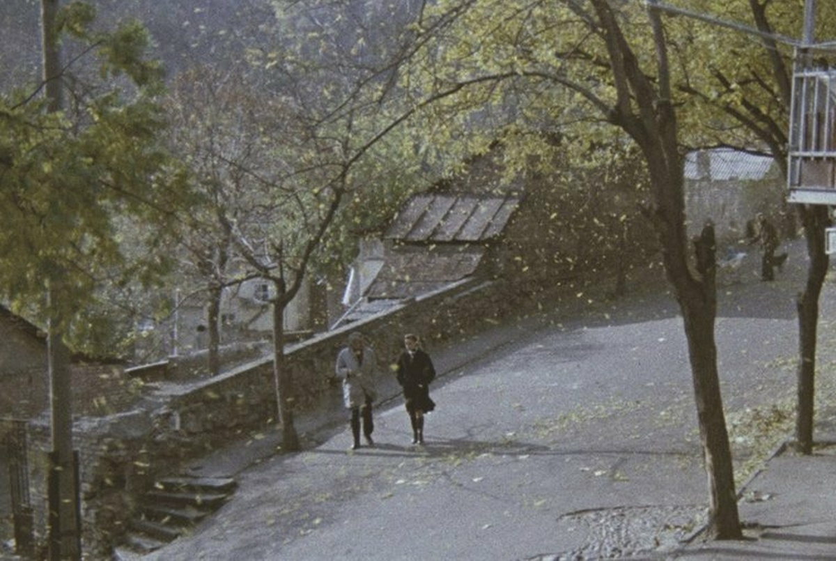 A long shot of two people, dressed in a white and a black coat, walking down the street among falling leaves.