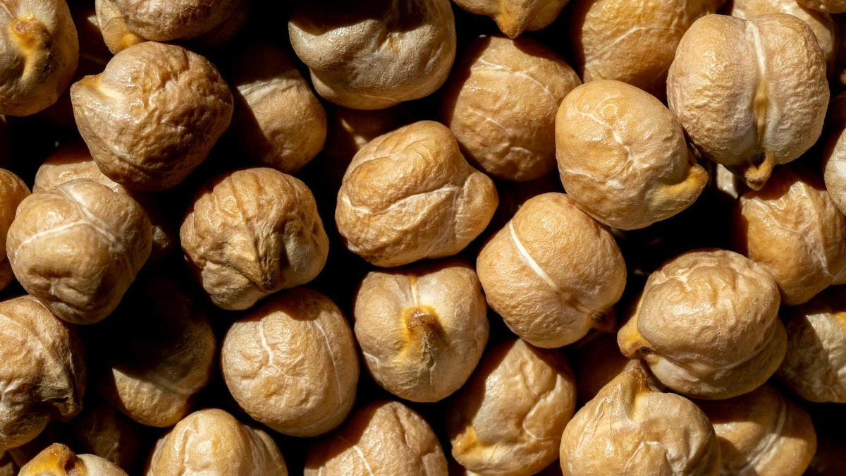 A close-up view of whole chickpeas after dying and processing