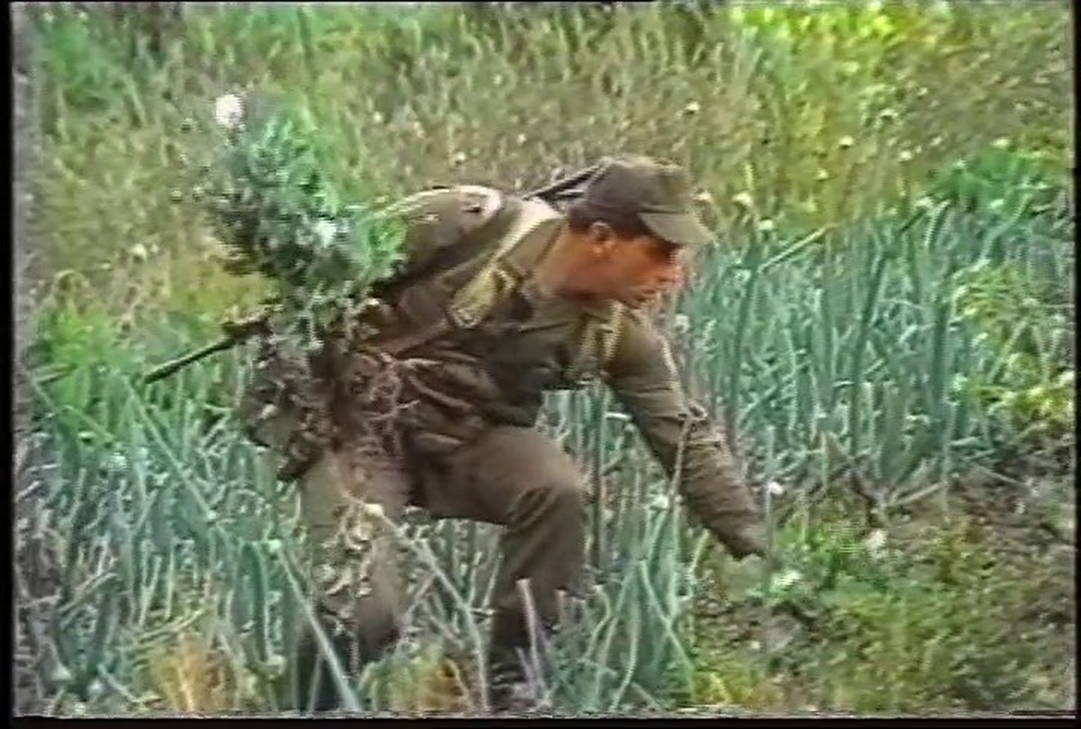 A person in army fatigues crouching as they move through an area of tall bright green grass.