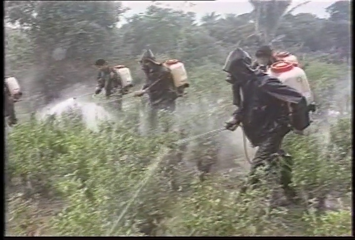A group of people walking across grassland wearing protective clothes and a gas mask, spraying weed killer.