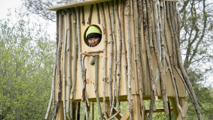 A photo of a wooden structure in a tree. There is a porthole which a person's head is sticking out.