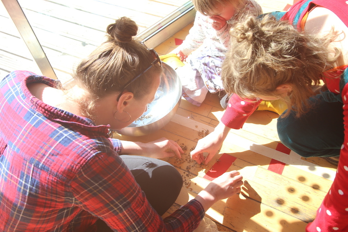 Adults and children sort calendula seeds on a wooden floor.