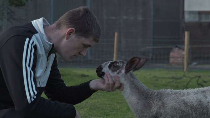 A young man in a tracksuit top takes the head of a sheep in his hands, and looks the sheep directly in the eyes.