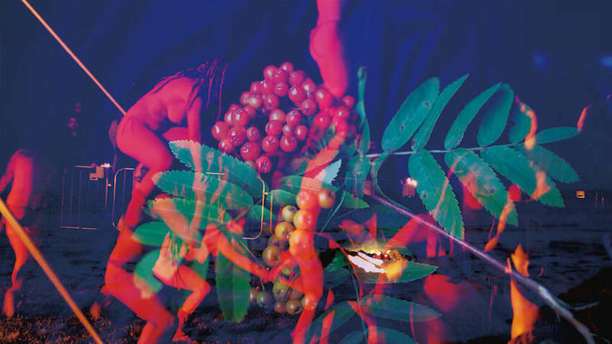 Vividly coloured overlayed images featuring bodies and plants.