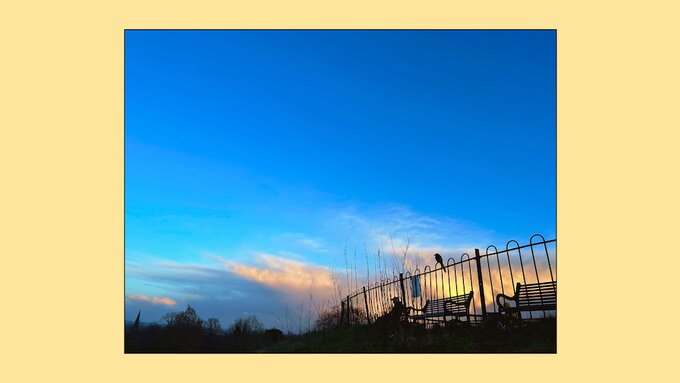 A photograph of the flagpole at Queen's Park. There is a bird perched on the railing, and blue sky with sunlit clouds.