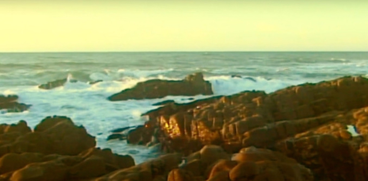 A grainy image of a shoreline lit by a yellow sky.