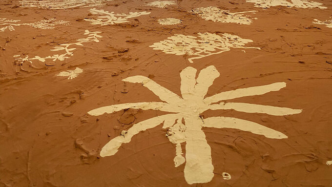 A rough surface of red clay onto which the outlines of various plants are inscribed in a pale clay
