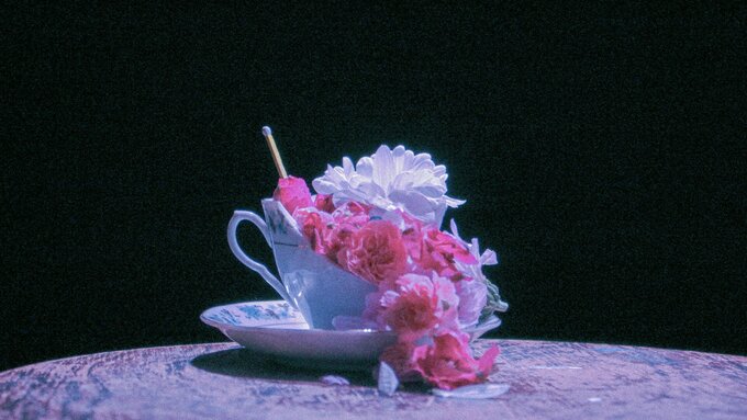 A white teacup filled with pink flowers against a black background.