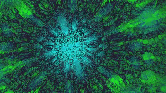 Abstract green visuals