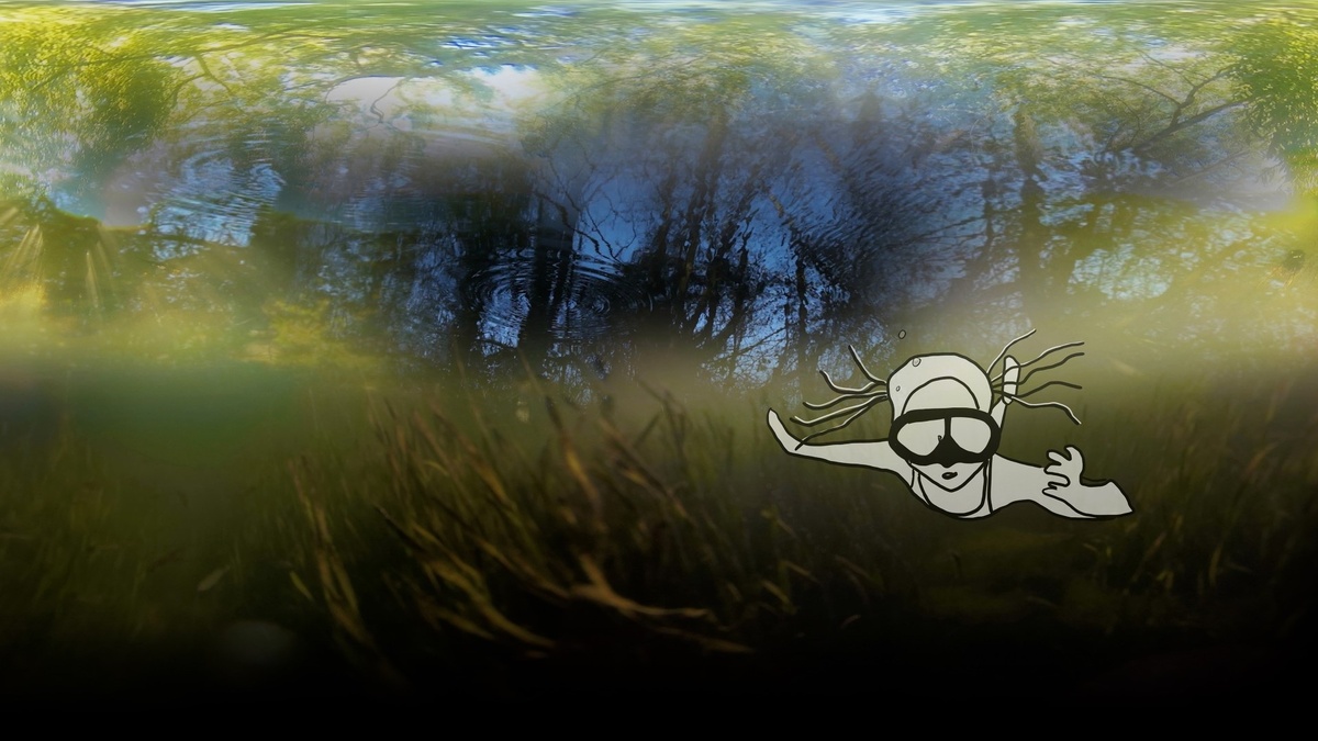 An underwater scene, an illustration of someone swimming is imposed over the top.