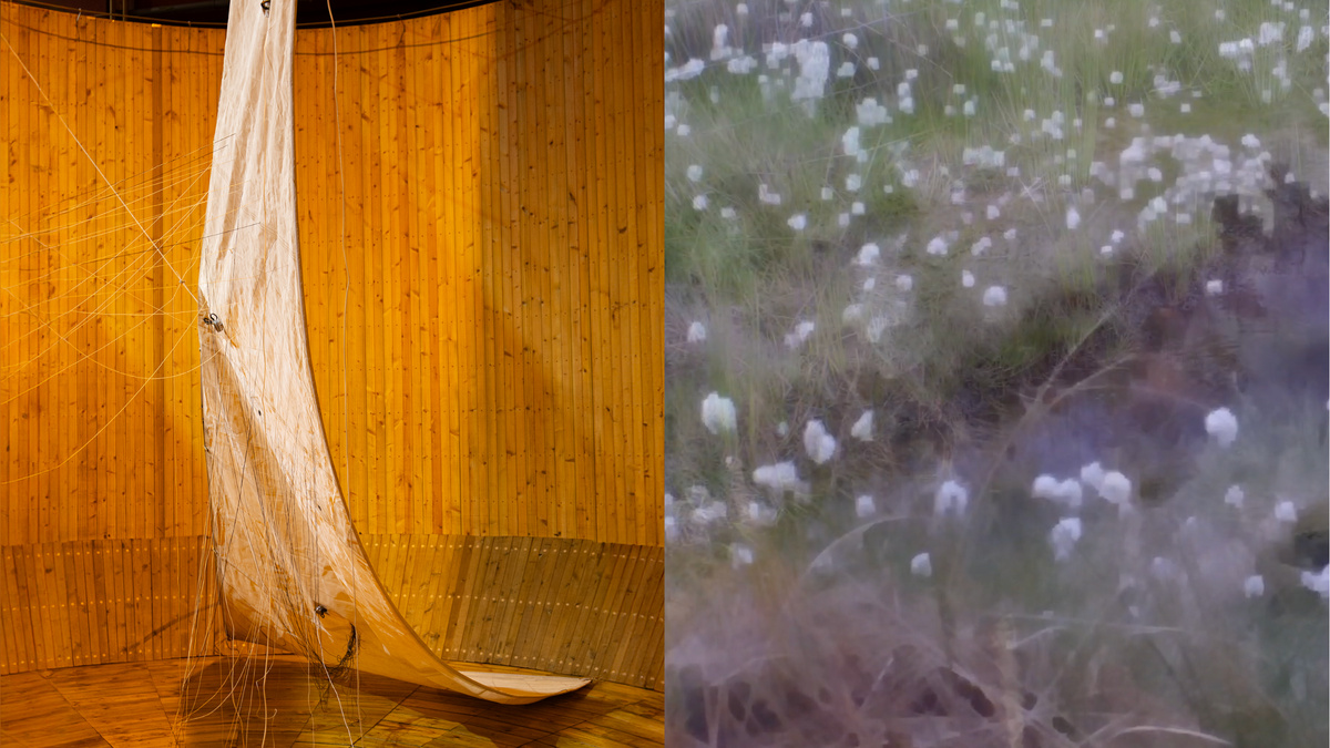 Left, a white sail hangs in a circular wood structure. Right, a blurred image shows a grassy field with white flowers.