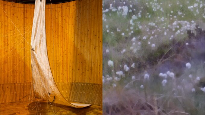Left, a white sail hangs in a circular wood structure. Right, a blurred image shows a grassy field with white flowers.