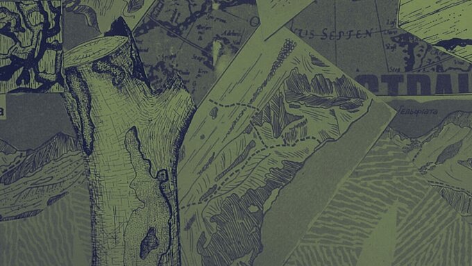 A collage of maps, tree branches, and graphics on a green background.