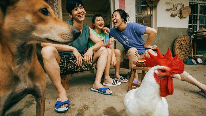 A bright, color, outdoor shot of three people laughing heartily while sitting on low wooden benches with a large dog.