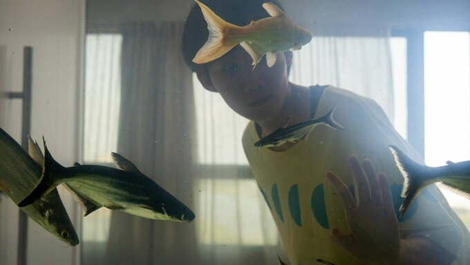 A hazy, brightly backlit color shot of a person in a yellow shirt standing behind a large aquarium full of fish.
