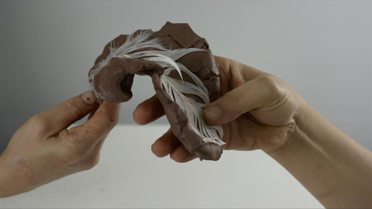 Two hands gently manipulating a feather into raw clay.