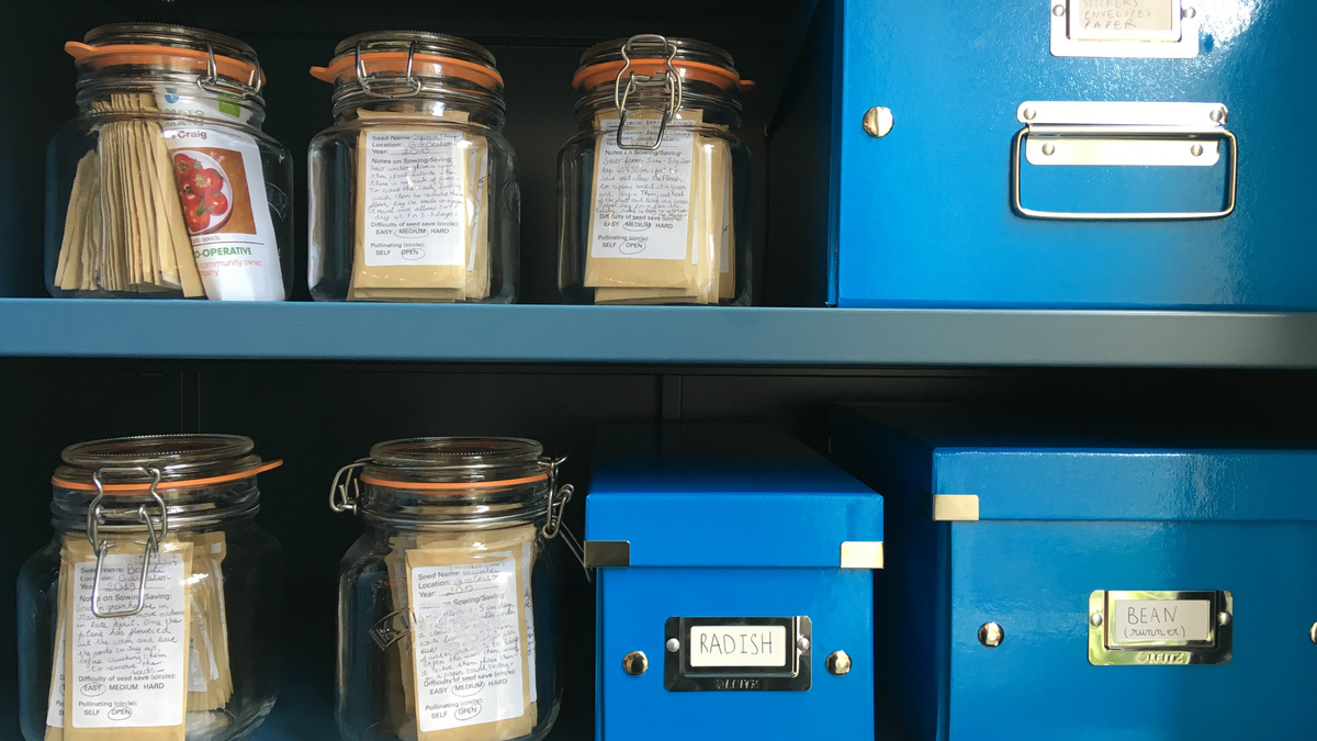 Two shelves of kilner jars containing labelled seeds and some blue cardboard boxes