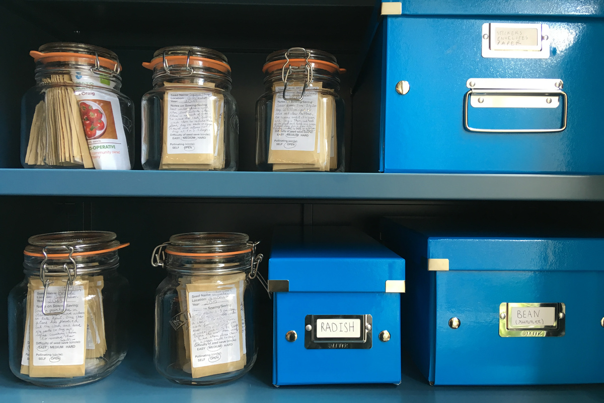 Two shelves of kilner jars containing labelled seeds and some blue cardboard boxes