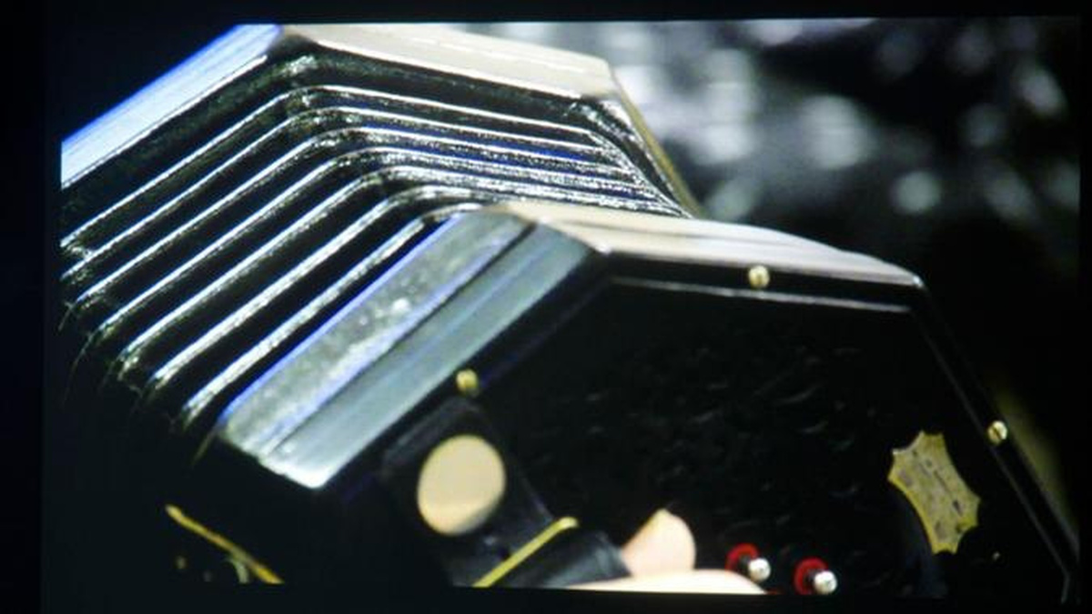 A close up of an accordion instrument.