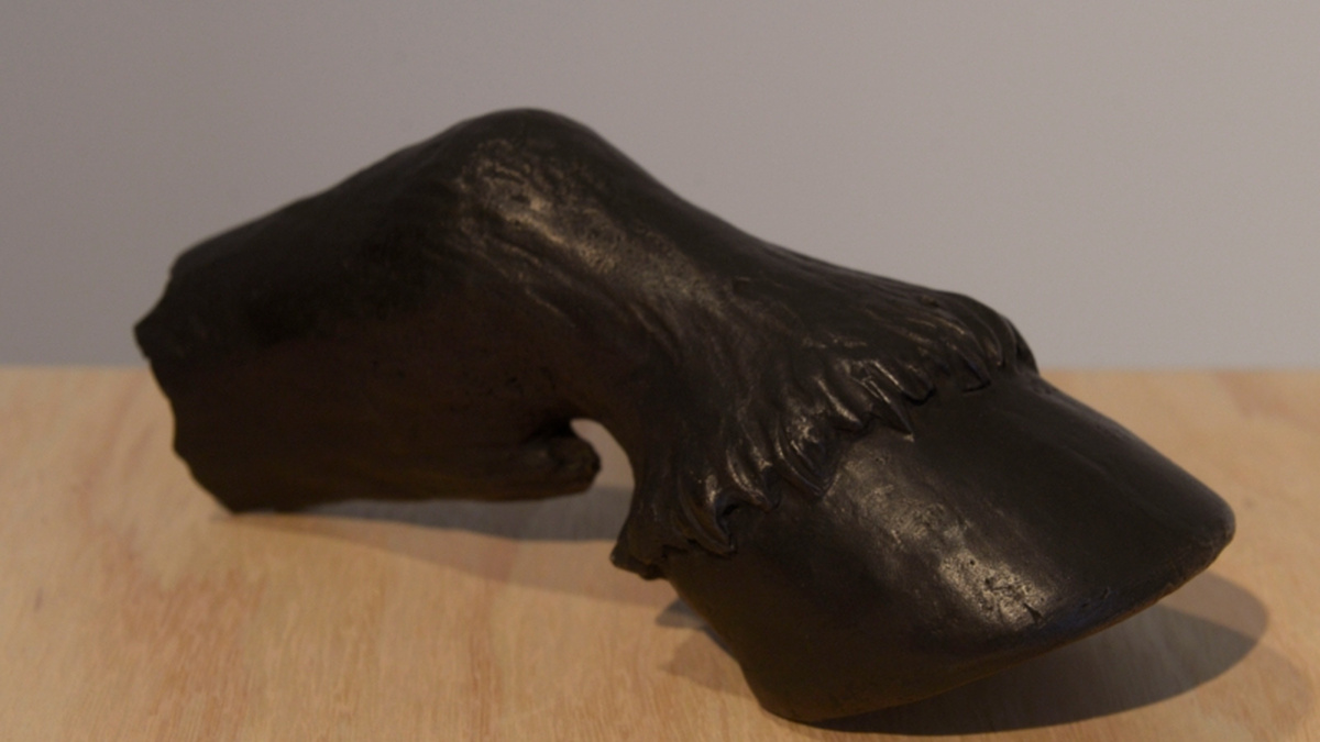 A dark bronze sculpture of a cow's hoof.