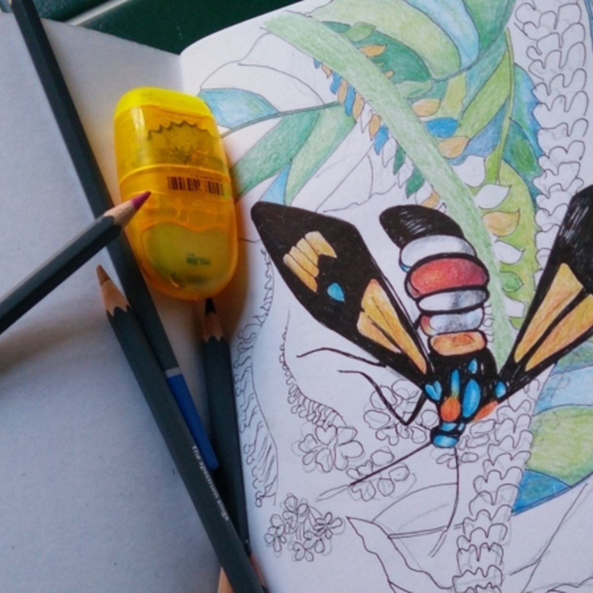 An open sketchbook with a half-coloured in drawing of a butterfly on plants.