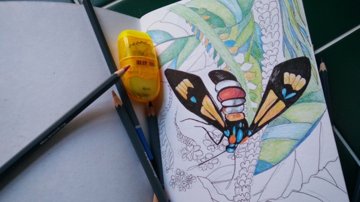 An open sketchbook with a half-coloured in drawing of a butterfly on plants.
