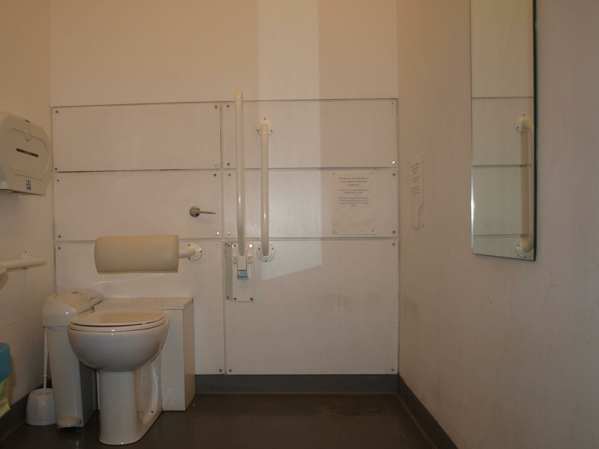 A photograph of room with a toilet and banister.